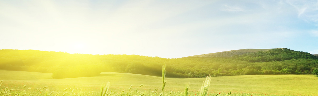 Give a Brighter Future