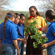 miracle_alive_3 We combine education, spirituality, and Native American culture