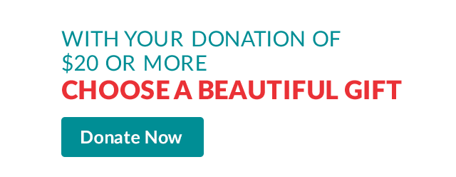 A sign with the words with your donation of $20 or more choose a beautiful gift and a donate now button